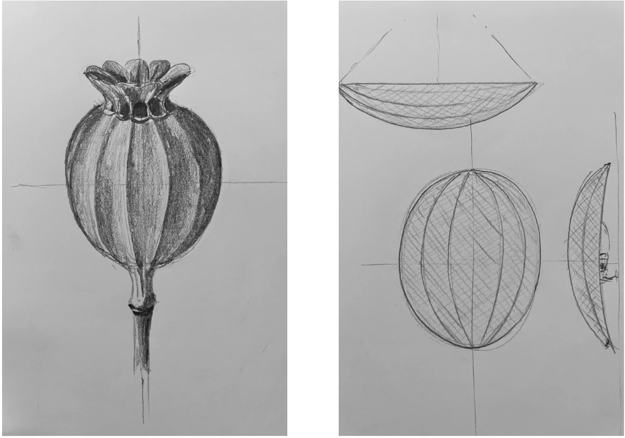 Pium inspiration sketch by PINCH