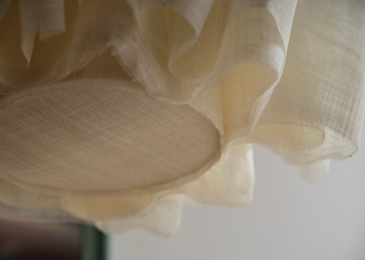 Anders light large close up of plant fibers